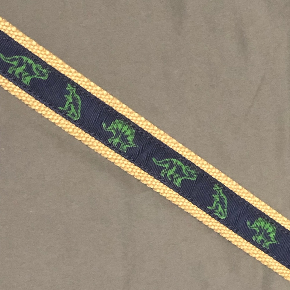 Wemblys dinosaur belt